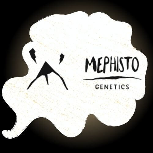 mephisto-logo