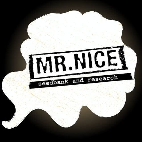 mr-nice-seedbank