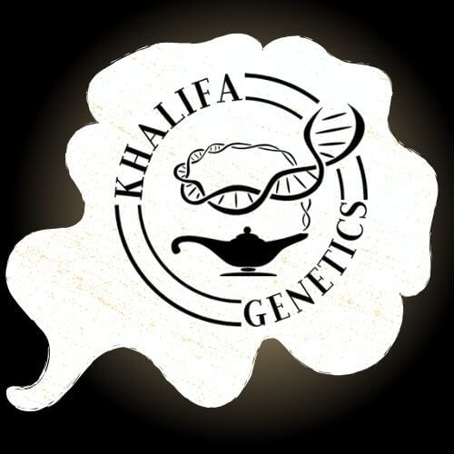 logo-khalifa-genetics