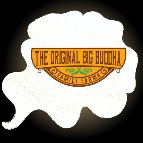 the-original-big-budha-logo
