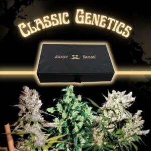 Coffeeshop Corner Classics