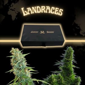 Mediterrean Legend Duo (1)