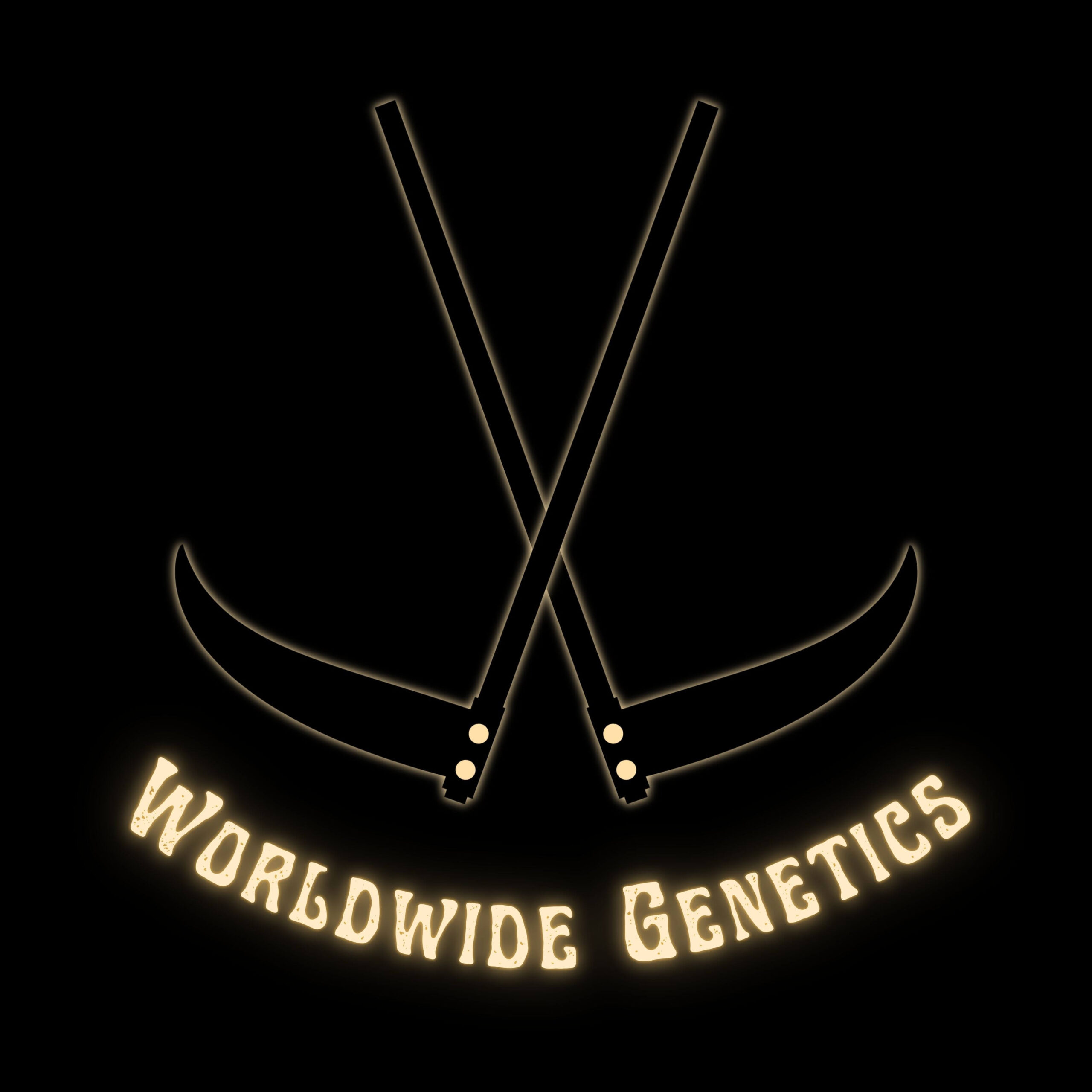 jonny-seeds-breeder-corner