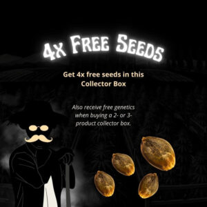 Jonny’s Gift: 4x Free Seeds